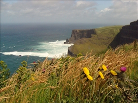 Mohérové útesy (Cliffs of Moher)