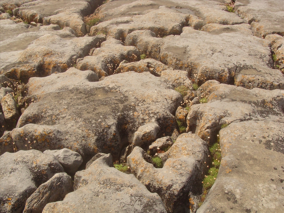 Burren