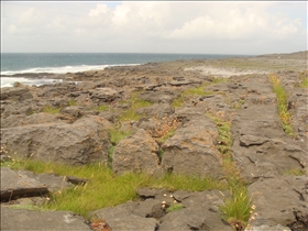 Burren