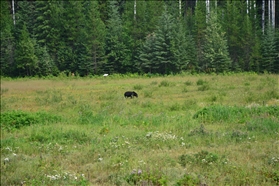 Mount Robson Park