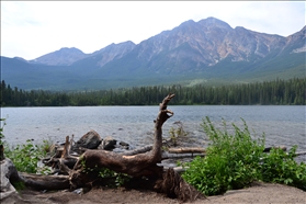 Mount Robson Park