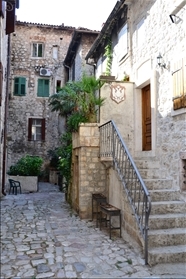 Kotor