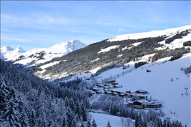 Zwölferkogel 